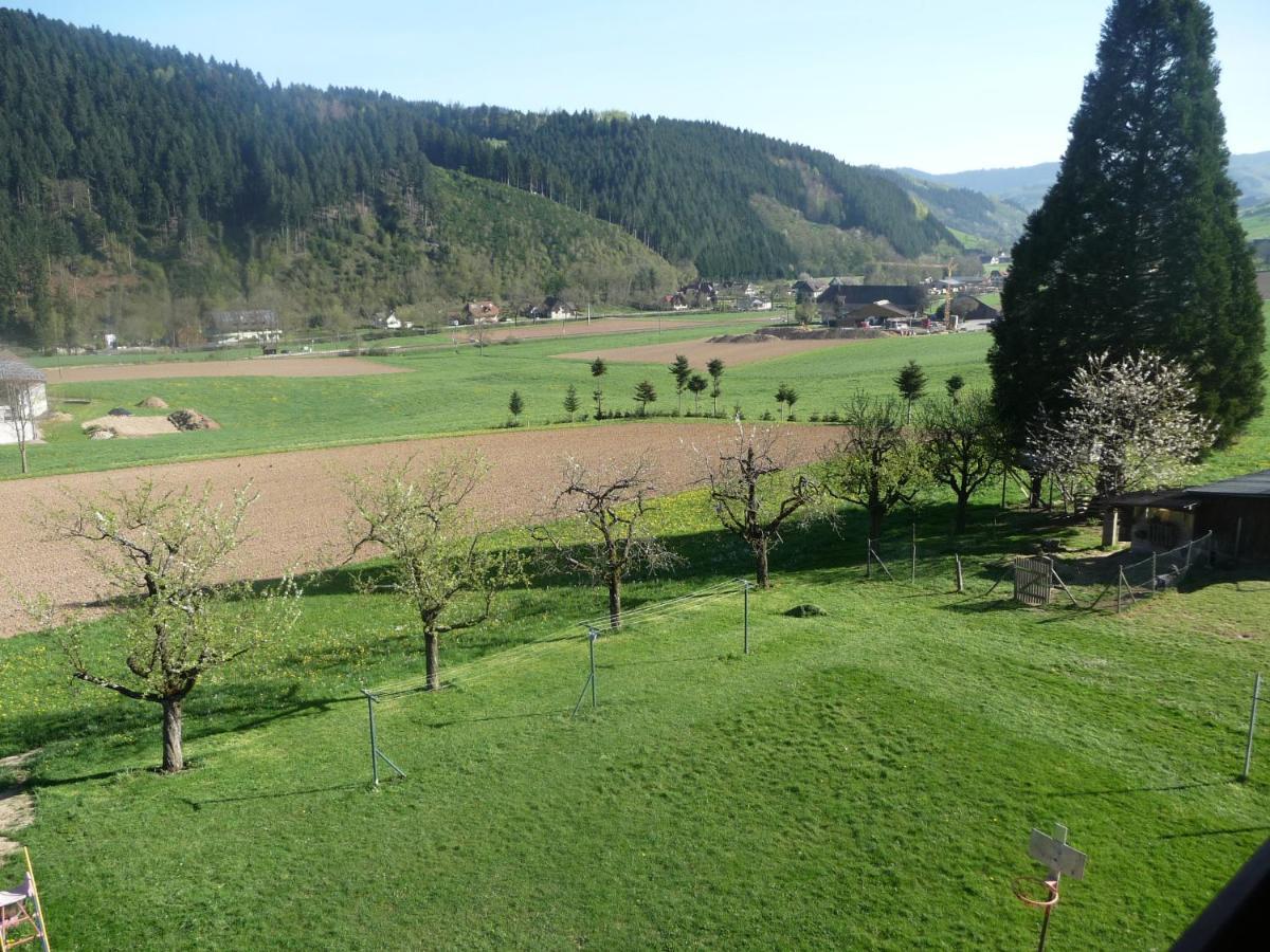 Lehmannshof Ferienwohnungen Zell am Harmersbach Zewnętrze zdjęcie